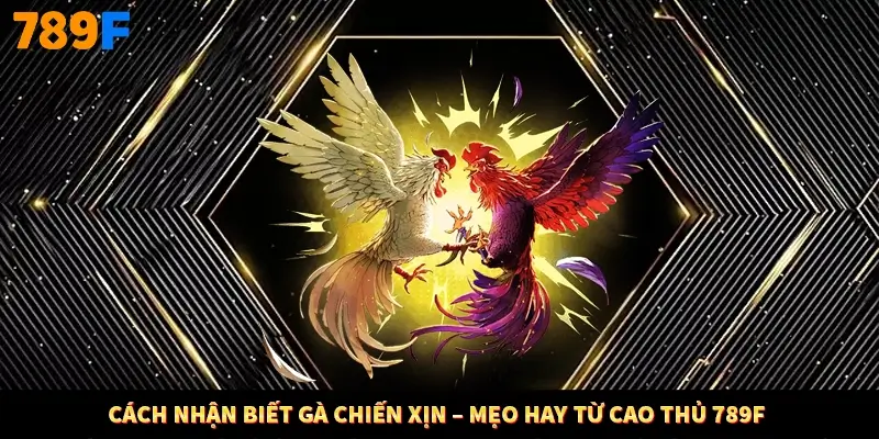 Cách Nhận Biết Gà Chiến Xịn – Mẹo Hay Từ Cao Thủ 789F
