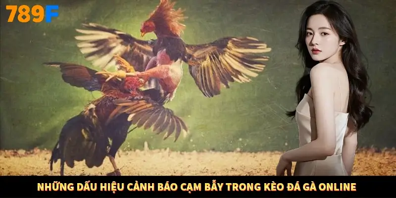 Những dấu hiệu cảnh báo cạm bẫy trong kèo đá gà online