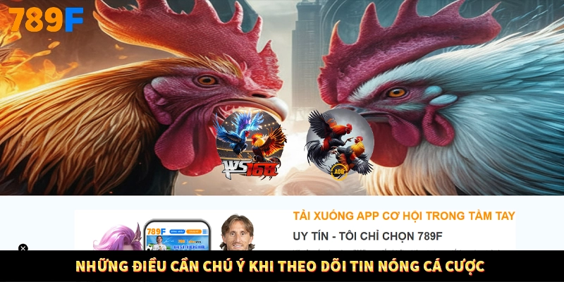 Những điều cần chú ý khi theo dõi tin nóng cá cược